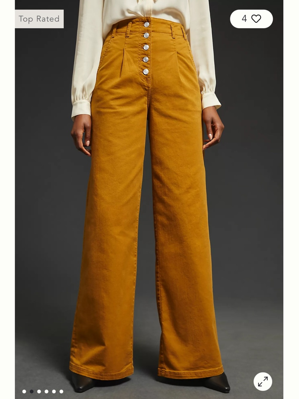Maeve Anthropologie Womens High Waisted Pleated Wide Leg Button Fly Tan Pants 28